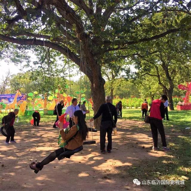 临沂国际影视城第八届板栗文化节，免费板栗等你捡